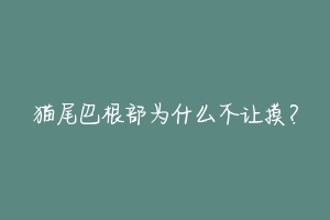 猫尾巴根部为什么不让摸？