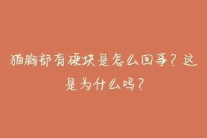 猫胸部有硬块是怎么回事？这是为什么吗？