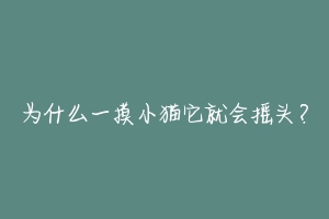 为什么一摸小猫它就会摇头？