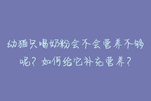 幼猫只喝奶粉会不会营养不够呢？如何给它补充营养？