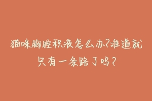 猫咪胸腔积液怎么办?难道就只有一条路了吗？