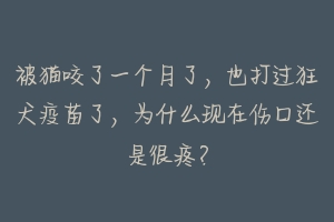 被猫咬了一个月了，也打过狂犬疫苗了，为什么现在伤口还是很疼？