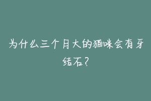 为什么三个月大的猫咪会有牙结石？