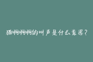 猫啊啊啊的叫声是什么意思？