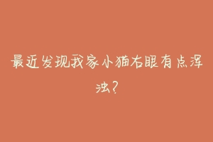 最近发现我家小猫右眼有点浑浊？