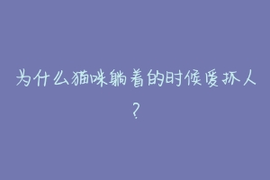 为什么猫咪躺着的时候爱抓人？