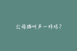 公母猫叫声一样吗？