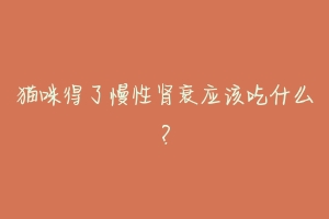 猫咪得了慢性肾衰应该吃什么？