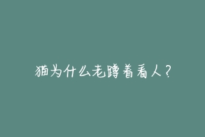 猫为什么老蹲着看人？