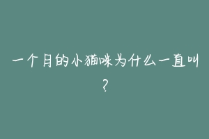 一个月的小猫咪为什么一直叫？