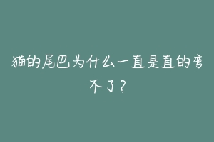 猫的尾巴为什么一直是直的弯不了？