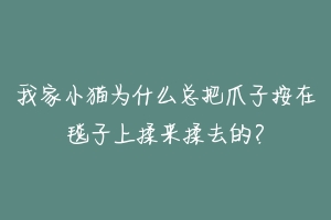 我家小猫为什么总把爪子按在毯子上揉来揉去的？