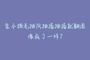 急小猫老抽风抽搐抽搐就翻滚像疯了一样？