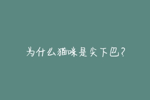 为什么猫咪是尖下巴？