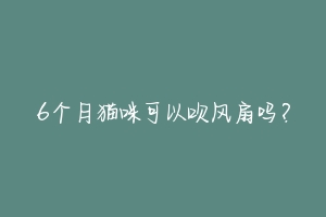 6个月猫咪可以吹风扇吗？