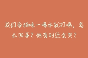 我们家猫咪一喝水就打嗝，怎么回事？他有时还会哭？