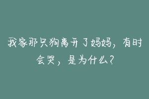 我家那只狗离开了妈妈，有时会哭，是为什么？