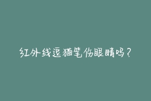 红外线逗猫笔伤眼睛吗？