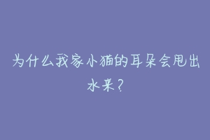 为什么我家小猫的耳朵会甩出水来？