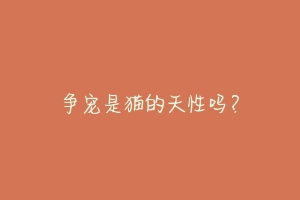 争宠是猫的天性吗？