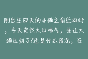 刚出生四天的小猫之前还挺好，今天突然大口喘气，是让大猫压到了?还是什么情况，在线等？