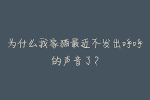 为什么我家猫最近不发出呼呼的声音了？