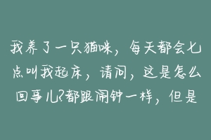 我养了一只猫咪，每天都会七点叫我起床，请问，这是怎么回事儿?都跟闹钟一样，但是周末就不叫了？