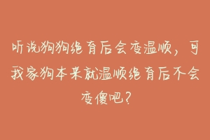 听说狗狗绝育后会变温顺，可我家狗本来就温顺绝育后不会变傻吧？