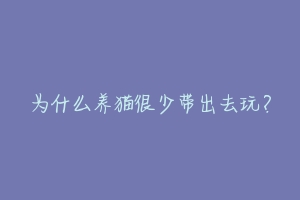 为什么养猫很少带出去玩？