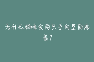 为什么猫咪会两只手向里面揣着？