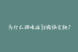 为什么猫咪碰到锡纸会跳？