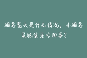 猫总晃头是什么情况，小猫总晃脑袋是咋回事？