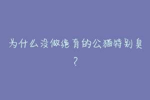 为什么没做绝育的公猫特别臭？