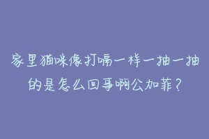 家里猫咪像打嗝一样一抽一抽的是怎么回事啊公加菲？