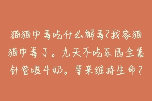 猫猫中毒吃什么解毒?我家猫猫中毒了。九天不吃东西全靠针管喂牛奶。等来维持生命？