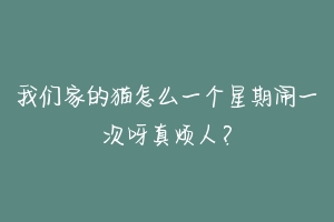 我们家的猫怎么一个星期闹一次呀真烦人？