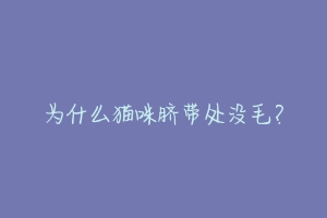 为什么猫咪脐带处没毛？