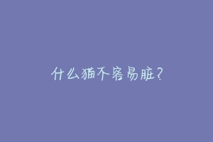 什么猫不容易脏？