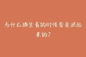 为什么猫坐着的时候背是拱起来的？