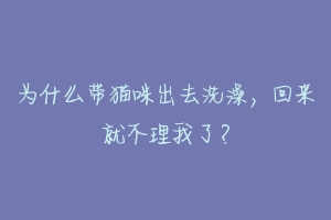 为什么带猫咪出去洗澡，回来就不理我了？