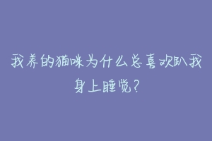 我养的猫咪为什么总喜欢趴我身上睡觉？