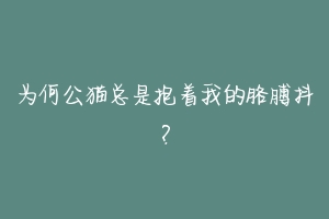 为何公猫总是抱着我的胳膊抖？