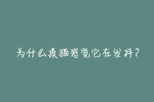 为什么摸猫感觉它在发抖？