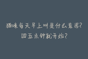 猫咪每天早上叫是什么意思?四五点钟就开始？