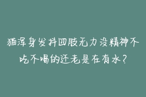 猫浑身发抖四肢无力没精神不吃不喝的还老是在有水？