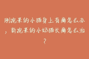 刚抱来的小猫身上有癣怎么办，新抱来的小奶猫长癣怎么治？