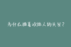 为什么猫喜欢舔人的头发？