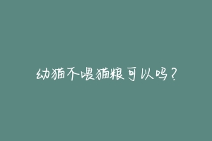 幼猫不喂猫粮可以吗？