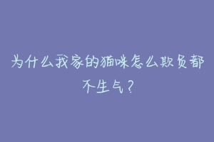 为什么我家的猫咪怎么欺负都不生气？