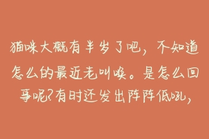 猫咪大概有半岁了吧，不知道怎么的最近老叫唤。是怎么回事呢?有时还发出阵阵低吼，影来了另外一只猫？